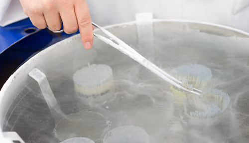 LIC Lab bull semen straws
