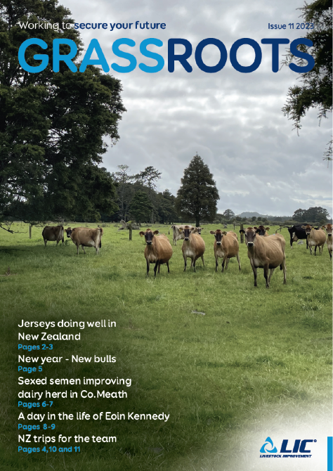 LIC Ireland GrassRoots Issue 11 winter 2023
