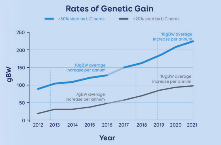 LIC rates of genetic gain