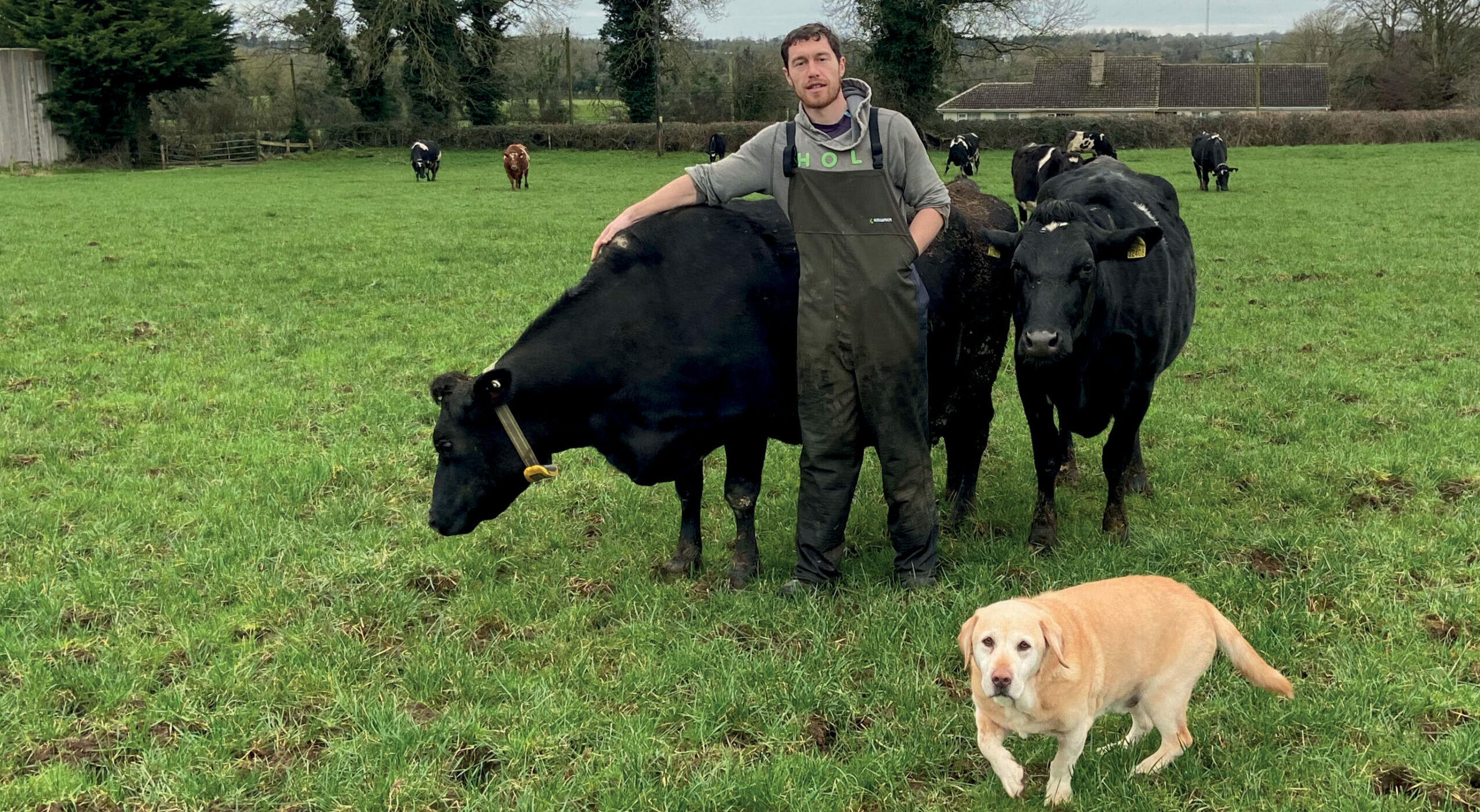 Co.Meath dairy farmer using LIC sexed semen copy