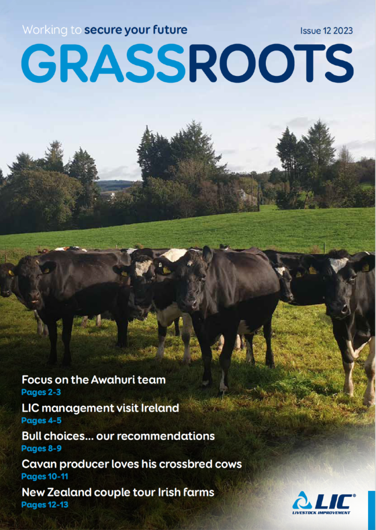 LIC Ireland GrassRoots Winter 2023 issue 12