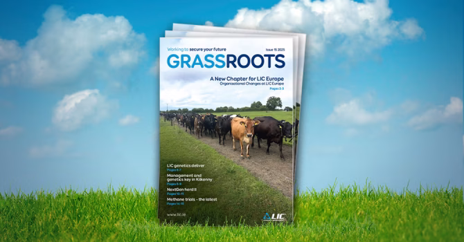 IRE GrassRoots July25 web copy