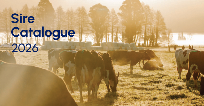 LIC Ireland Sire Catalogue - 2026