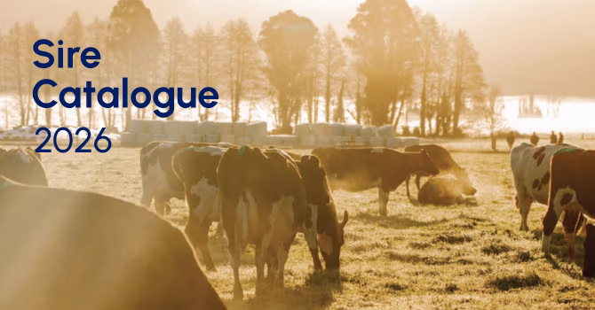 LIC Ireland Sire Catalogue - 2026